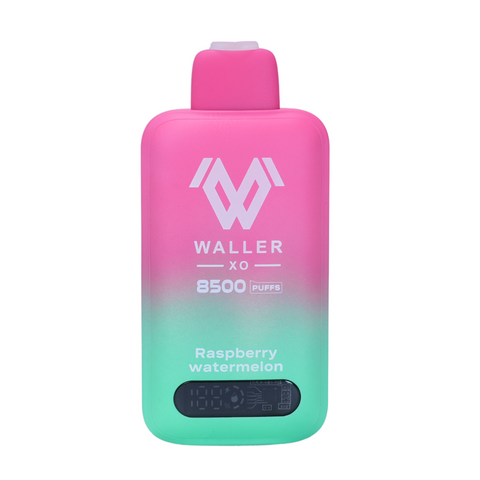 Waller XO Disposable 8500puffs